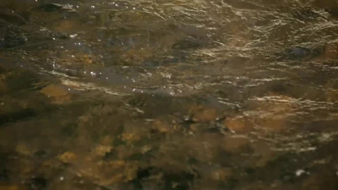 Free Stock Video Water Flowing On A River Slow Motion Live Wallpaper - Free Live Wallpaper