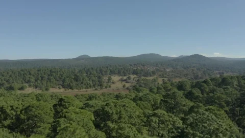Free Stock Video Warm Natural Environment From Above On A Sunny Day Live Wallpaper - Free Live Wallpaper