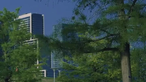 Free Stock Video Walking Through A Peaceful Park In The City Live Wallpaper - Free Live Wallpaper