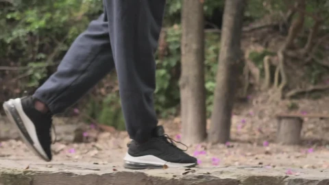 Free Stock Video Walking Of A Person On The Path Of A Forest Live Wallpaper - Free Live Wallpaper
