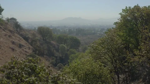 Free Stock Video Walking An Arid Hill Among Its Trees Live Wallpaper - Free Live Wallpaper
