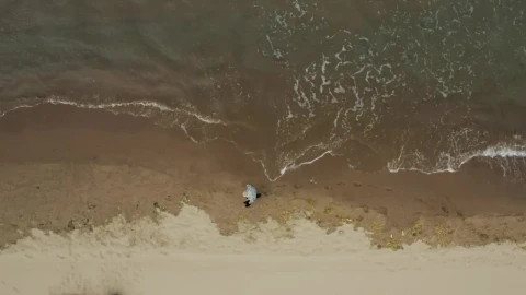 Free Stock Video Walking Along The Wet Sand Live Wallpaper - Free Live Wallpaper