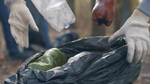 Free Stock Video Volunteers Recycling Plastic And Glass Bottles Live Wallpaper - Free Live Wallpaper