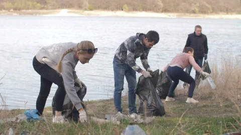 Free Stock Video Volunteers Picking Up Trash Live Wallpaper - Free Live Wallpaper
