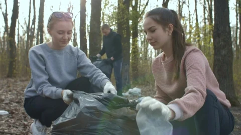 Free Stock Video Volunteers Collecting Bottles Live Wallpaper - Free Live Wallpaper