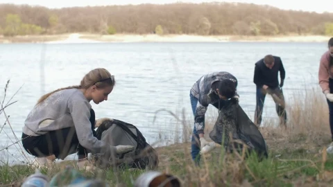 Free Stock Video Volunteers Cleaning Up Trash Next To A River Live Wallpaper - Free Live Wallpaper