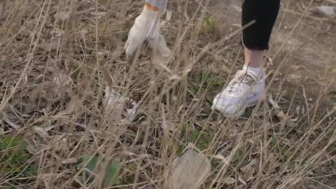 Free Stock Video Volunteer Picking Up Trash From The Grass Live Wallpaper - Free Live Wallpaper