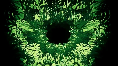 Free Stock Video Virtual Tunnel Between Green Tropical Plants Live Wallpaper - Free Live Wallpaper