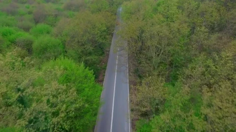 Free Stock Video Vintage Car Heading Down A Forest Road Live Wallpaper - Free Live Wallpaper