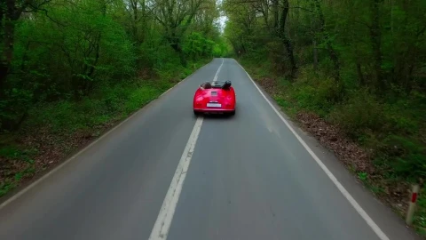 Free Stock Video Vintage Car Driving Between Trees Live Wallpaper - Free Live Wallpaper
