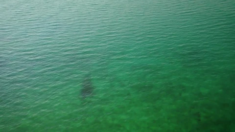 Free Stock Video View Of The Turquoise Blue Sea From A Sunny Beach Live Wallpaper - Free Live Wallpaper
