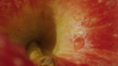 Free Stock Video Video Of The Texture Of Fresh Apples Live Wallpaper - Free Live Wallpaper