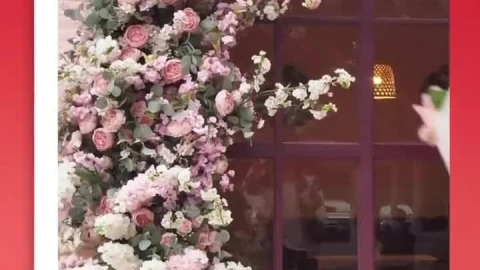 Free Stock Video Vertical Love Story Live Wallpaper - Free Live Wallpaper