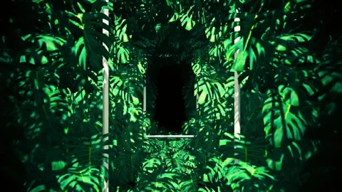 Free Stock Video Vertical Frames Between Tropical Tree Leaves Live Wallpaper - Free Live Wallpaper