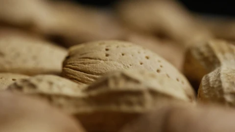 Free Stock Video Unfocused Close Up Shot Different Nuts Live Wallpaper - Free Live Wallpaper