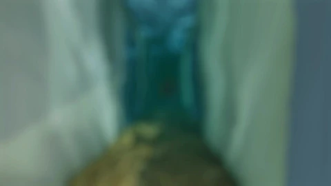 Free Stock Video Underwater House In The Ocean D Live Wallpaper - Free Live Wallpaper