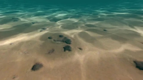Free Stock Video Underwater D Beach With Sand And Rocks Live Wallpaper - Free Live Wallpaper