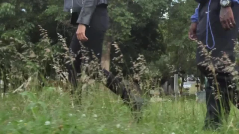 Free Stock Video Two People Walking Slowly Among Herbs Live Wallpaper - Free Live Wallpaper