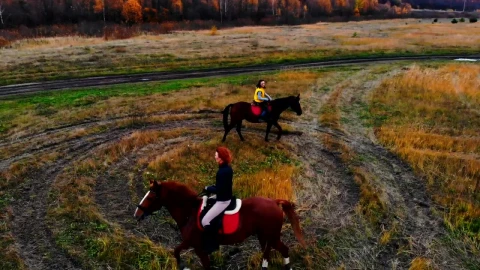 Free Stock Video Two People Riding In Circles In Nature Live Wallpaper - Free Live Wallpaper