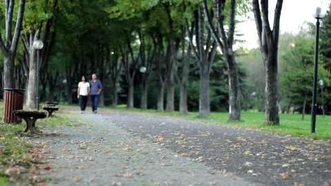 Free Stock Video Two Male Friends Walking Down A Quiet Park Live Wallpaper - Free Live Wallpaper