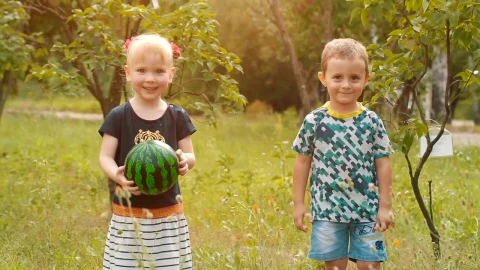 Free Stock Video Two Little Boys Waving At The Camera Live Wallpaper - Free Live Wallpaper