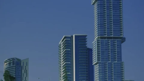 Free Stock Video Two Birds On The Shore Of A Lake In The Live Wallpaper - Free Live Wallpaper