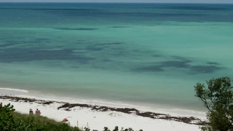 Free Stock Video Turquoise Blue Sea Seen From The Heights Live Wallpaper - Free Live Wallpaper