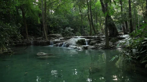 Free Stock Video Tropical River And Waterfalls Live Wallpaper - Free Live Wallpaper