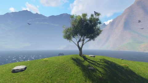 Free Stock Video Tree And Birds Near A Lake Live Wallpaper - Free Live Wallpaper