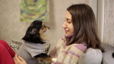Free Stock Video Young Woman Smiles At Her Pet Live Wallpaper - Free Live Wallpaper
