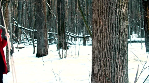 Free Stock Video Young Woman Putting Her Ski Next To A Tree In Live Wallpaper - Free Live Wallpaper