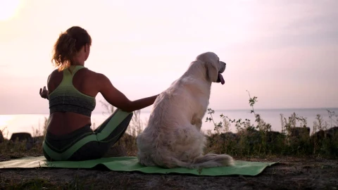 Free Stock Video Young Woman Meditating With Her Dog Aside Near Sea Live Wallpaper - Free Live Wallpaper