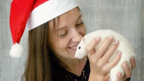 Free Stock Video Young Woman Holding A White Rat Live Wallpaper - Free Live Wallpaper