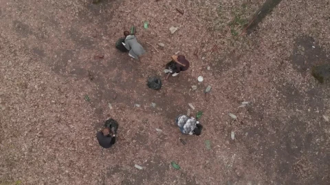 Free Stock Video Young Volunteers Recycling Garbage From The Forest Live Wallpaper - Free Live Wallpaper