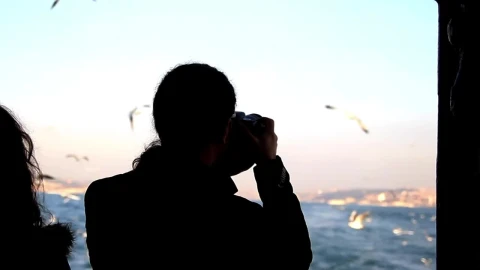 Free Stock Video Young Person Taking Pictures Of Seagulls Live Wallpaper - Free Live Wallpaper