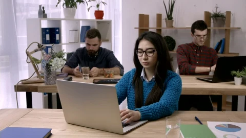 Free Stock Video Young People Working Concentrated In An Office Live Wallpaper - Free Live Wallpaper