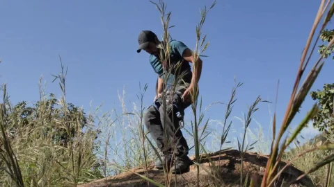 Free Stock Video Young Mountaineer Man Putting On A Harness In Nature Live Wallpaper - Free Live Wallpaper