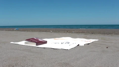 Free Stock Video Young Man Reading A Book Lying On The Beach Live Wallpaper - Free Live Wallpaper
