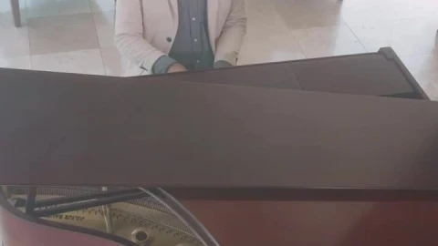 Free Stock Video Young Man Playing The Piano In A Stylish Lobby Live Wallpaper - Free Live Wallpaper