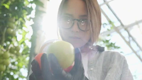 Free Stock Video Young Farmer Checking Vegetables With A Magnifying Glass Live Wallpaper - Free Live Wallpaper