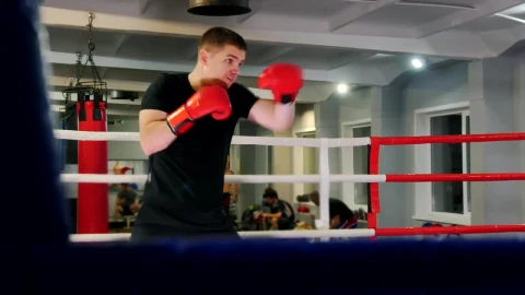 Free Stock Video Young Boxer Training Hard On A Ring Live Wallpaper - Free Live Wallpaper