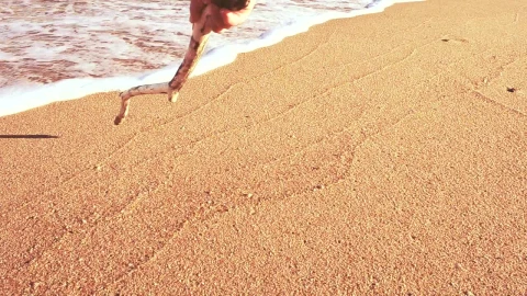Free Stock Video Writing Relax In The Sand On A Sunny Beach Live Wallpaper - Free Live Wallpaper