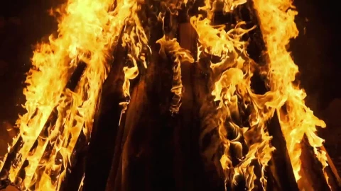 Free Stock Video Wood Logs Burning In Flames At Night Live Wallpaper - Free Live Wallpaper