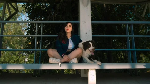 Free Stock Video Woman With Dog Sitting On Balcony Live Wallpaper - Free Live Wallpaper