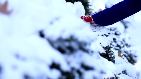 Free Stock Video Woman Wearing Mittens Playing With Snow Live Wallpaper - Free Live Wallpaper