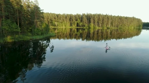Free Stock Video Woman Wandering In Nature On A Paddleboard Live Wallpaper - Free Live Wallpaper