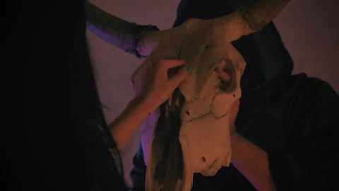 Free Stock Video Woman Touches The Skull Of A Bull Held By A Live Wallpaper - Free Live Wallpaper