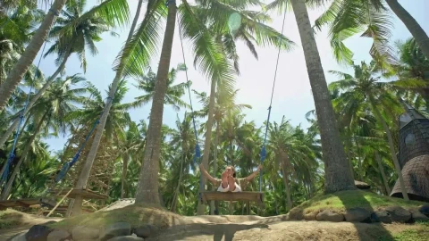 Free Stock Video Woman Swinging In The Jungle On The Beach Live Wallpaper - Free Live Wallpaper