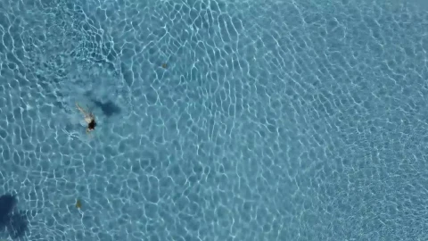 Free Stock Video Woman Swimming In The Pool Live Wallpaper - Free Live Wallpaper
