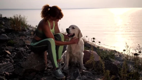 Free Stock Video Woman Stroking Her Dog On A Shoreline At Sunset Live Wallpaper - Free Live Wallpaper